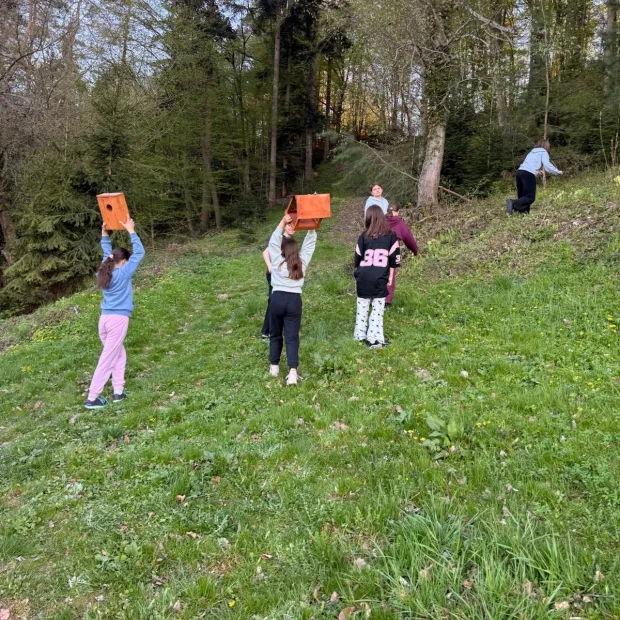 Bieszczady